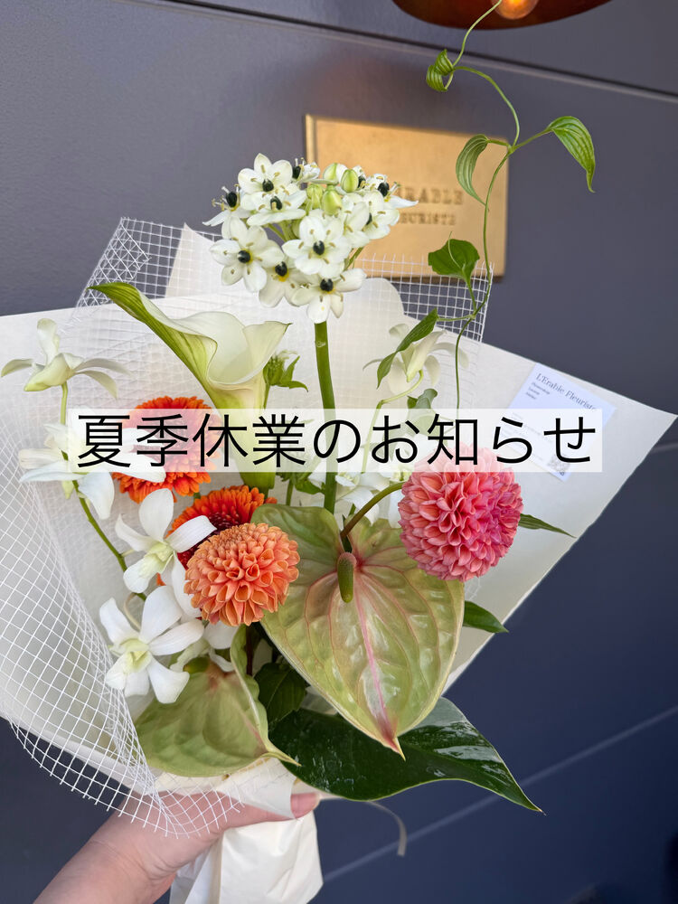 ブログ